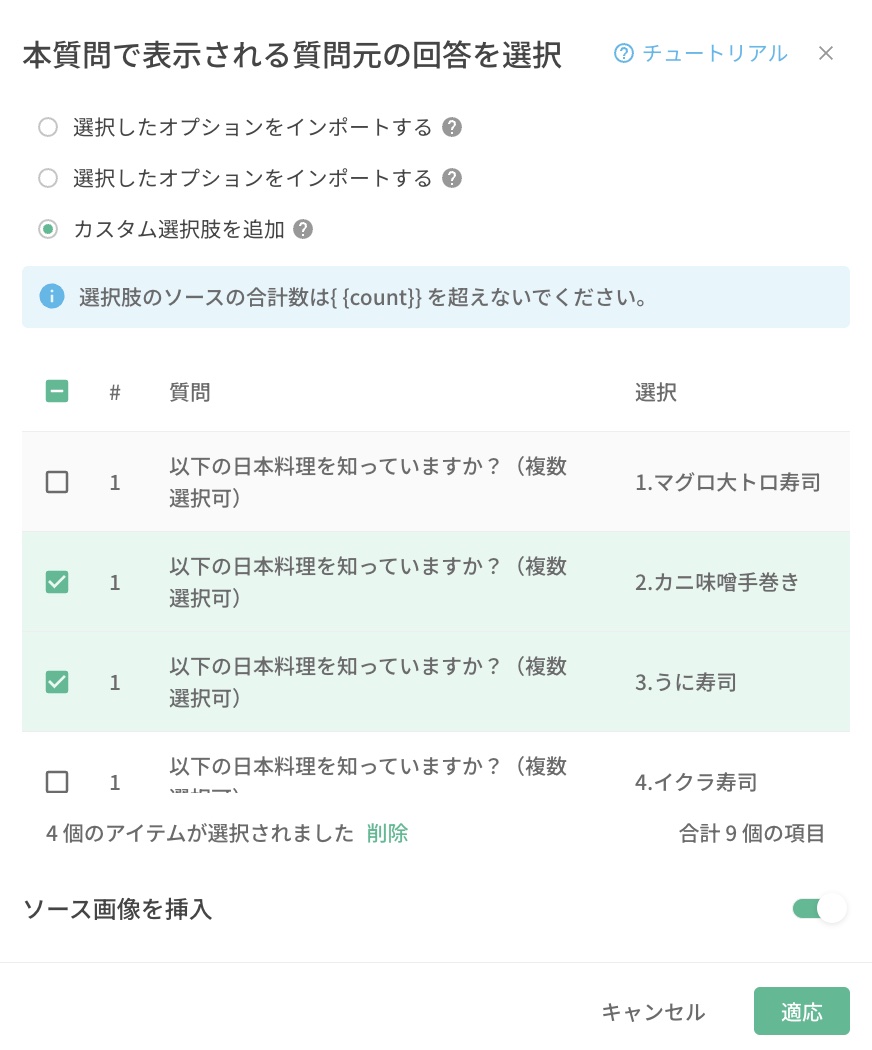 適用するソースオプションを選び「カスタム選択肢を追加」でオプションをチェックする設定