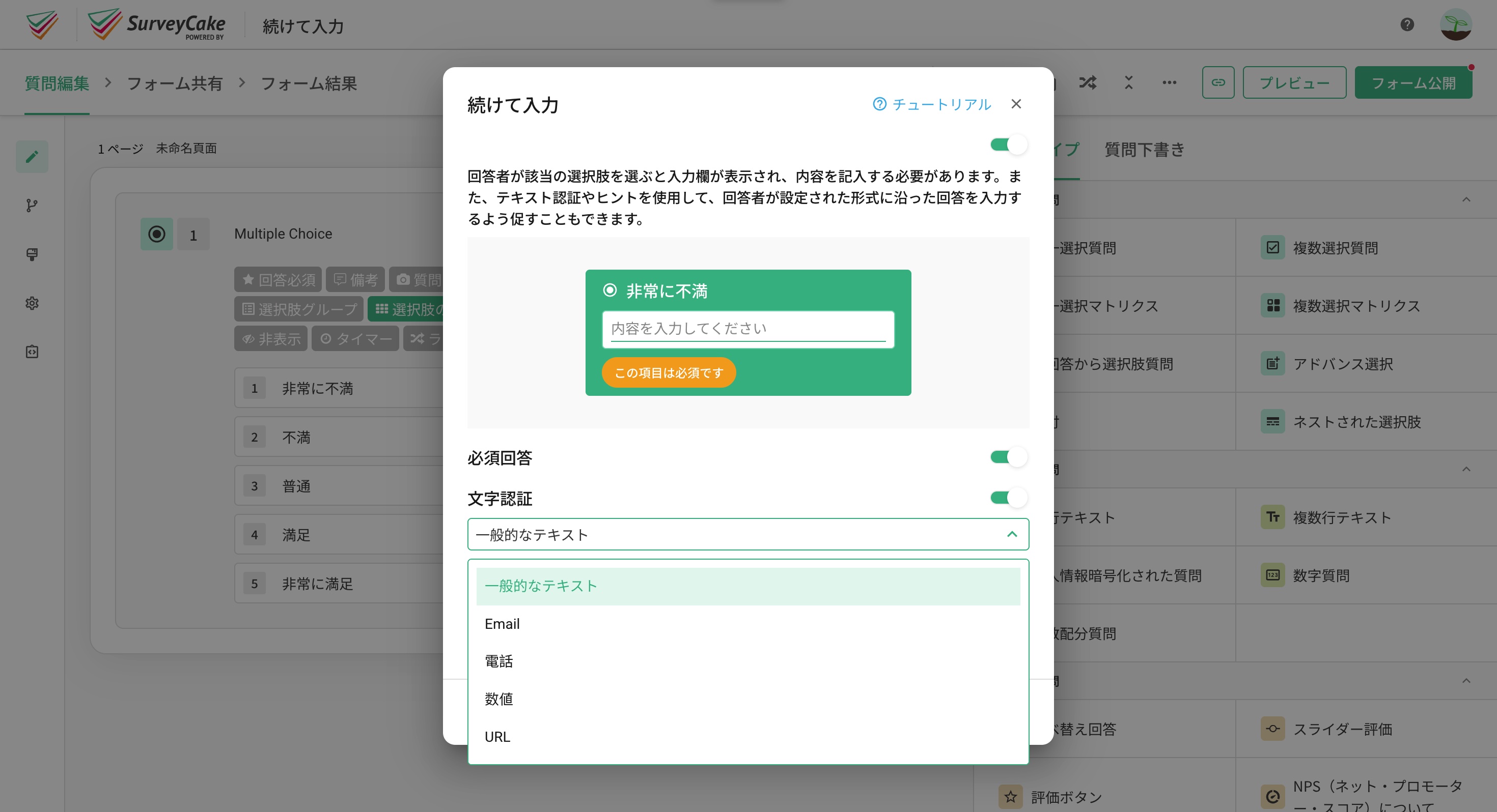 一般テキスト・メール・電話・数字・URL から選べるテキスト検証オプションの一覧