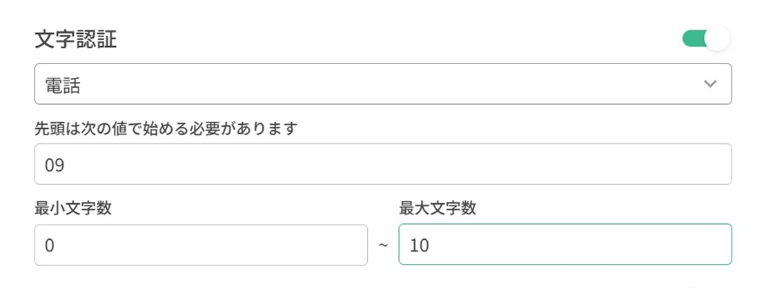 テキストの種類・長さ・フォーマットなどを指定する「文字検証」の設定画面
