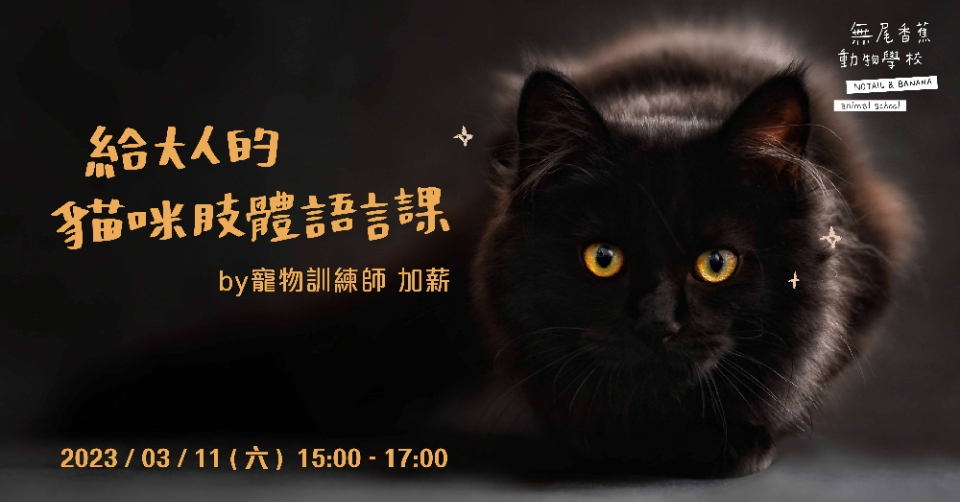《給大人的貓咪肢體語言課》